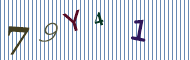 CAPTCHA code